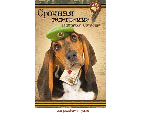 Открытка с 23 февраля! Открытка с 23 февраля!
